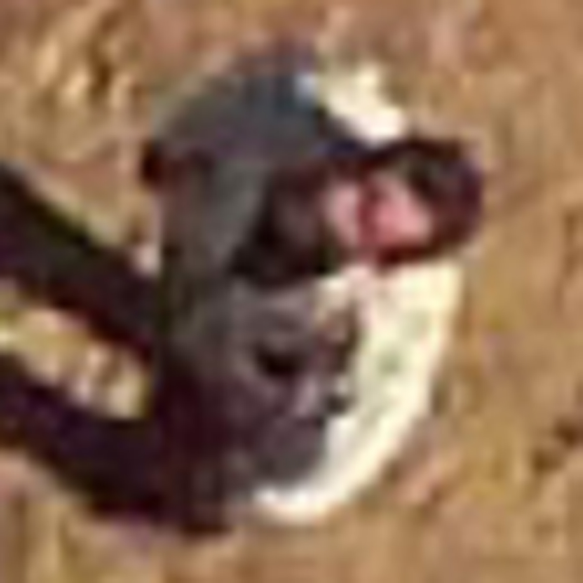 1_to_1/man-looking-up